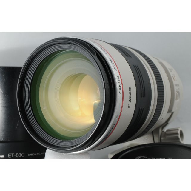 Canon EF 100-400mm F4.5-5.6L IS USM #329