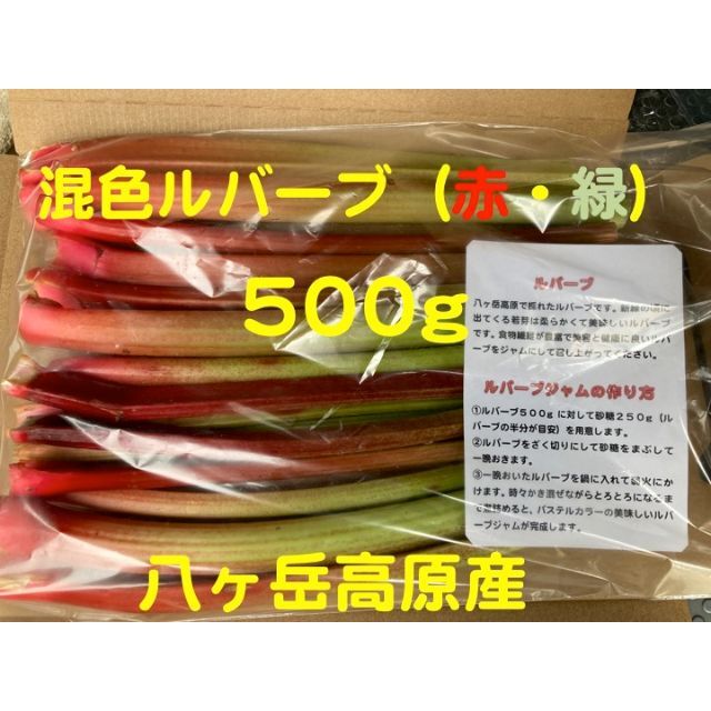 ルバーブ（混色）　500g  　八ヶ岳高原産 食品/飲料/酒の食品(野菜)の商品写真