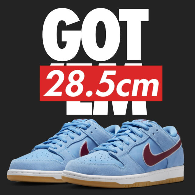 NIKE(ナイキ)のNIKE SB DUNK LOW PRO 28.5cm メンズの靴/シューズ(スニーカー)の商品写真