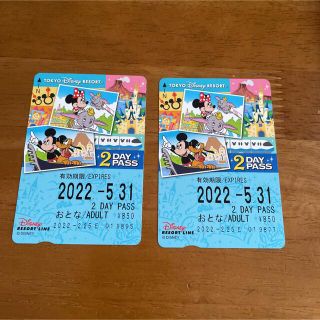 ディズニー(Disney)のディズニーリゾートライン　2日券　2枚(遊園地/テーマパーク)