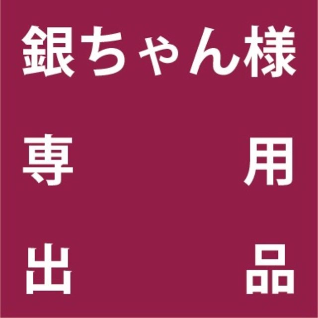 コスメ/美容銀ちゃんさま専用出品