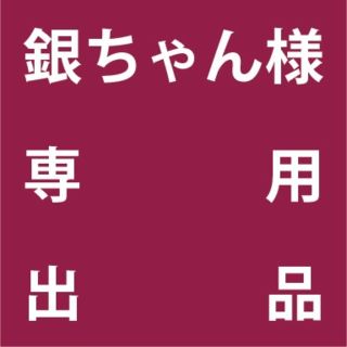 銀ちゃん様　専用出品　(プランター)