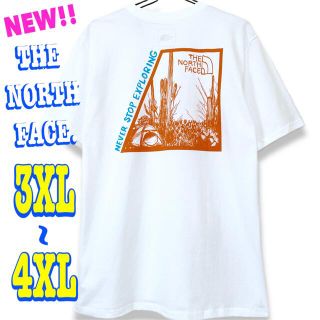 ザノースフェイス(THE NORTH FACE)の最新モデル ☆ 新品 ノースフェイス キャンプ SS Tシャツ 白  3XL(Tシャツ/カットソー(半袖/袖なし))