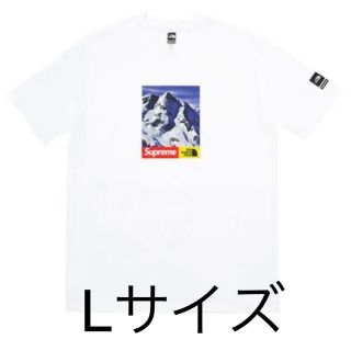 シュプリーム(Supreme)のLサイズ The North Face Mountain tee(Tシャツ/カットソー(半袖/袖なし))