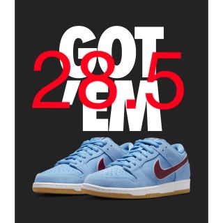 28.5 Nike SB Dunk Low Pro (スニーカー)