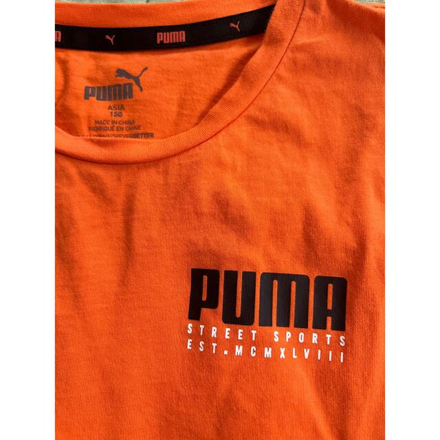 PUMA(プーマ)のプーマ　長袖Tシャツ　150㎝ キッズ/ベビー/マタニティのキッズ服男の子用(90cm~)(Tシャツ/カットソー)の商品写真