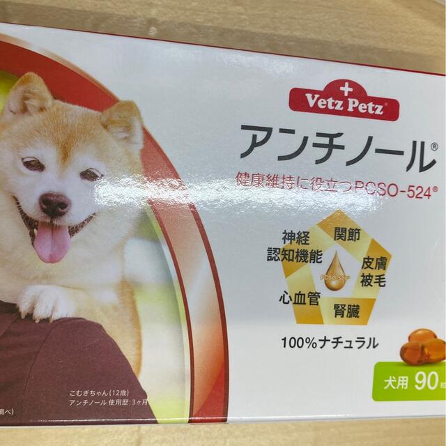 犬アンチノール90粒入 2箱 ペット用品 ペット用品 www.cchpu-mohfw.gov.bd