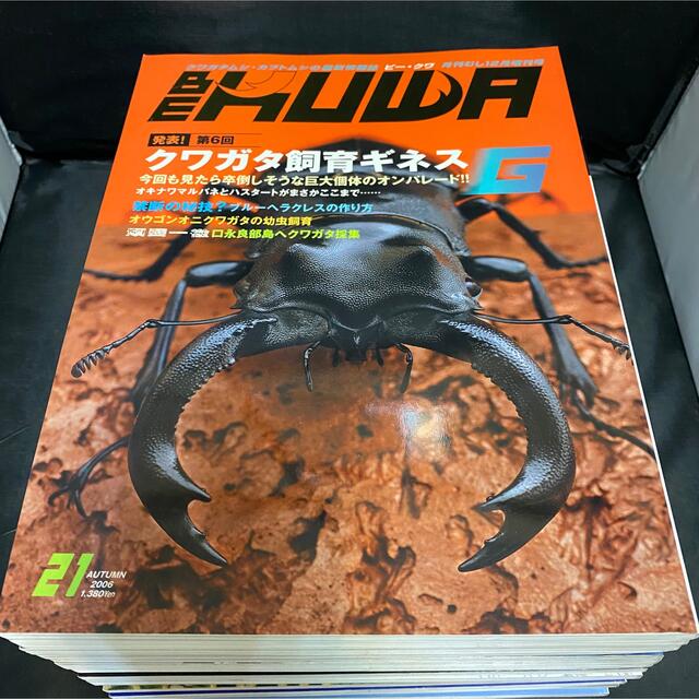 雑誌 BE KUWA ビー クワ 15冊 セット