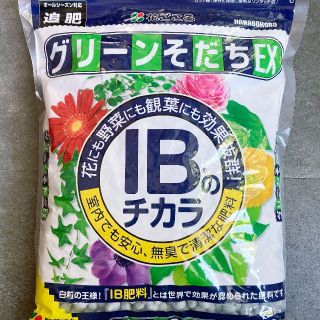 肥料 グリーンそだちEX IBのチカラ 40g 小分け(その他)