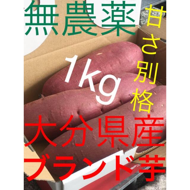 無農薬大分産ブランド芋サツマイモ 貯蔵180日熟成紅はるか1キロ送料無料L A品 食品/飲料/酒の食品(野菜)の商品写真