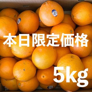 オレンジ 5kg(フルーツ)