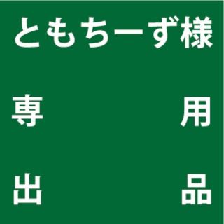 ともちーず様専用出品(プランター)