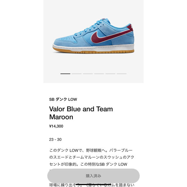 NIKE SB ダンクロー 1