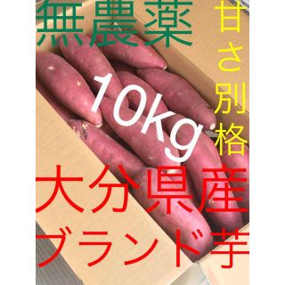 無農薬大分産ブランド芋サツマイモ貯蔵熟成 紅はるか 10キロ送料無料L2L A品(野菜)