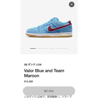 ナイキ(NIKE)のNike SB Dunk Low Pro (スニーカー)