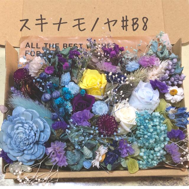 ドライフラワー花材set♡ブルー系#B8 ハンドメイドのフラワー/ガーデン(ドライフラワー)の商品写真