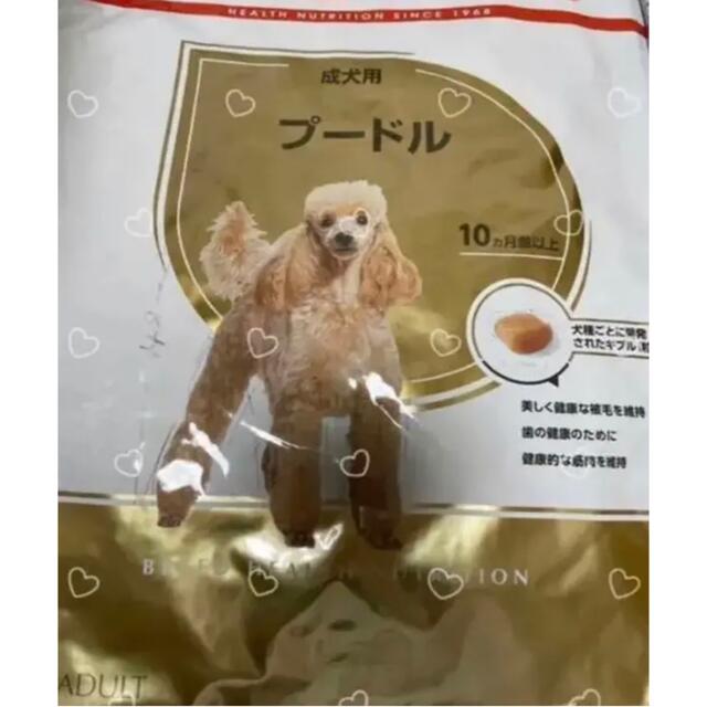ROYAL CANIN - ロイヤルカナン トイプードル ドライフード