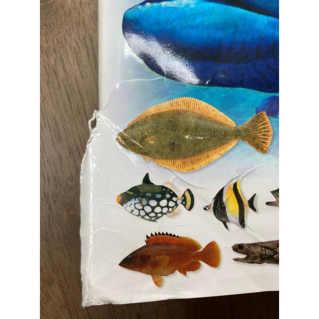 小学館(ショウガクカン)の魚 新版 エンタメ/ホビーの本(絵本/児童書)の商品写真