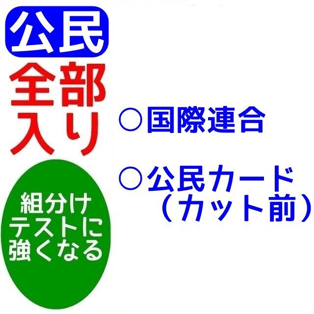 【期間限定特価】公民全部入り