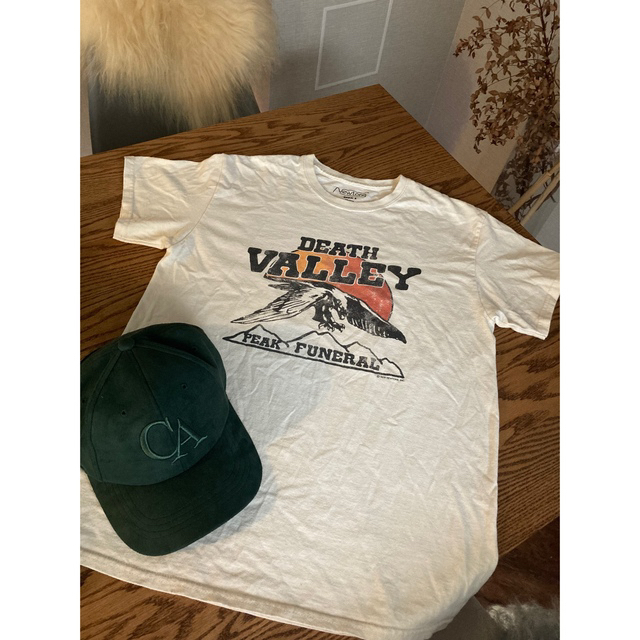 DEUXIEME CLASSE(ドゥーズィエムクラス)の【NEWTONE/ニュートーン】VALLEY Tシャツ ★ レディースのトップス(Tシャツ(半袖/袖なし))の商品写真