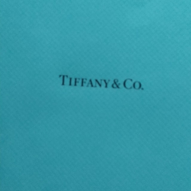 Tiffany & Co.(ティファニー)のティファニー ショップ袋 レディースのバッグ(ショップ袋)の商品写真