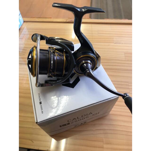 DAIWA - 21 カルディア LT2500S-XHの+inforsante.fr