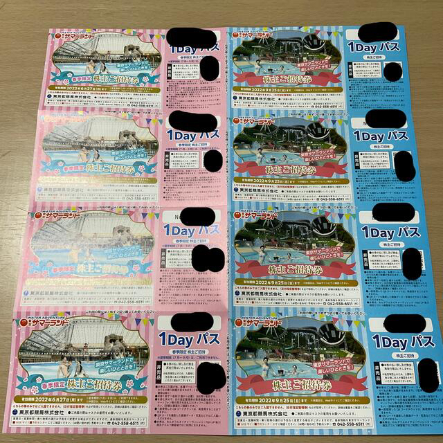 東京都競馬 株主優待 東京サマーランド 1dayパス8枚セット