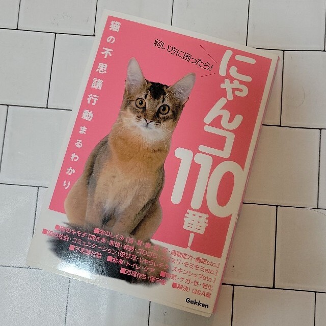 学研(ガッケン)の🐱にゃんコ１１０番！ 飼い方に困ったら！　猫の不思議行動まるわかり🐱 その他のペット用品(猫)の商品写真