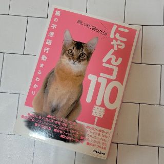 ガッケン(学研)の🐱にゃんコ１１０番！ 飼い方に困ったら！　猫の不思議行動まるわかり🐱(猫)