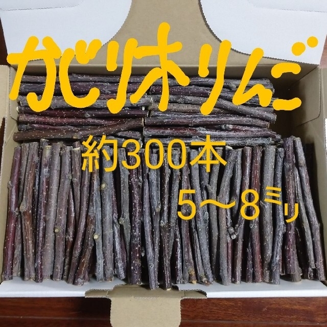 かじり木りんご 300本 その他のペット用品(小動物)の商品写真