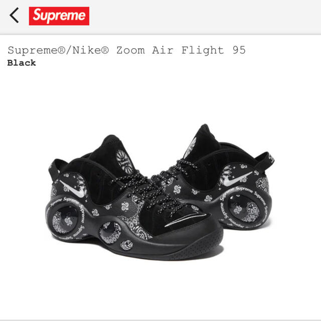 htc様専用Supreme Nike Zoom 27cm 完売 www.toyotec.com