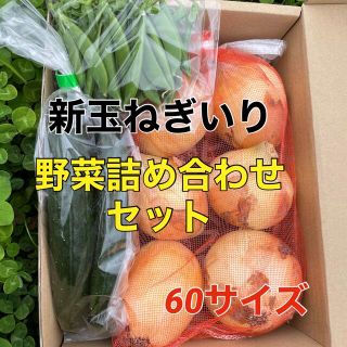 新玉葱入❗️野菜詰め合わせセット‼️(野菜)