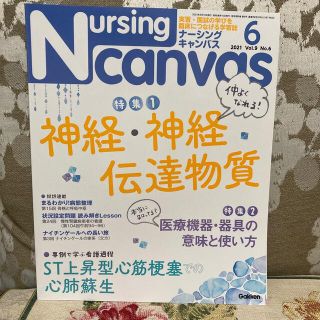 Nursing Canvas (ナーシング・キャンバス) 2021年 06月号(専門誌)