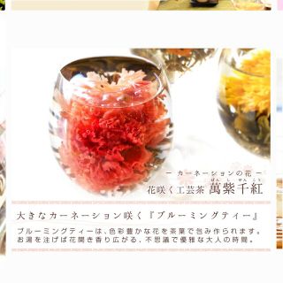 工芸茶　カーネーション 萬紫千紅　ジャスミン茶 インスタ映え  30個入り(茶)