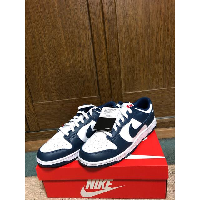 NIKE(ナイキ)の価格高騰中NIKE DUNK LOW USAナイキ ダンク新品未使用品 メンズの靴/シューズ(スニーカー)の商品写真