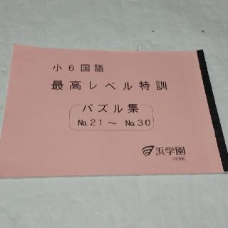 浜学園 パズル集 小6 最高レベル特訓 国語 No.21～No.30-