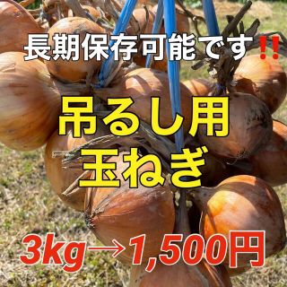 採れたて新鮮☆玉葱3kgをお届け‼️(野菜)