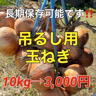 ☆採れたて新鮮☆吊るせる玉ねぎ❗️10kg入❗️(野菜)