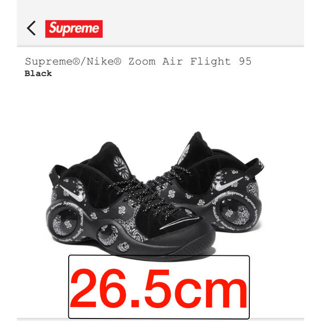 85購入先Supreme/Nike Zoom Air Flight 95