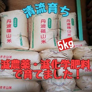 清流育ち 兵庫県丹波篠山米 玄米5kg(減農薬,減化学肥料栽培)令和3年産(米/穀物)
