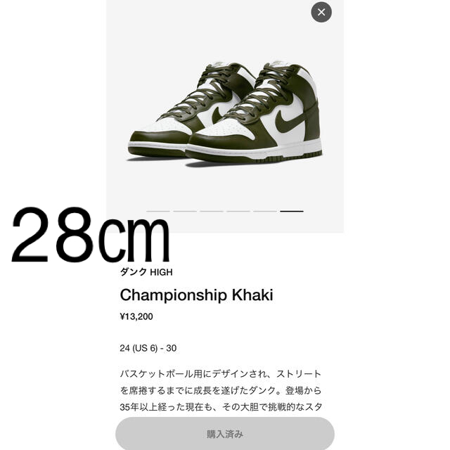 Nike Dunk High "Championship Khaki" カーキ