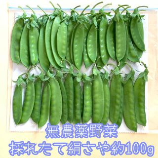 無農薬野菜＊採れたて旬の絹さや約100g＊ネコポス＊30〜40個入り＊(野菜)