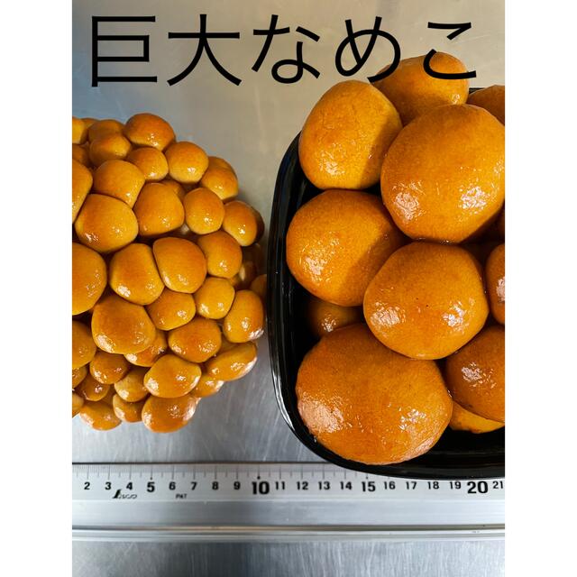 飛騨ジャンボなめこ(飛騨高山産)約180g×4入 食品/飲料/酒の食品(野菜)の商品写真