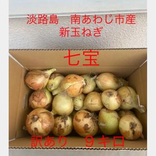 淡路島産　新玉ねぎ　七宝　９キロ  訳あり(野菜)