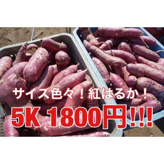 coco様専用！紅はるか5k(野菜)