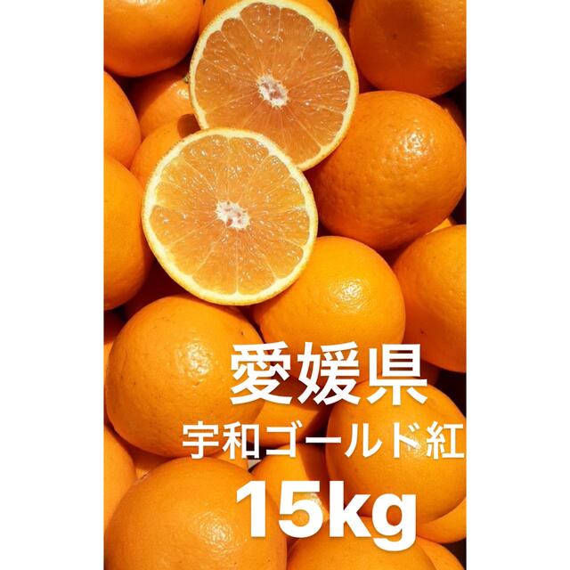 食品愛媛県産　河内晩柑　宇和ゴールド紅　嵐ゴールド　柑橘　15kg