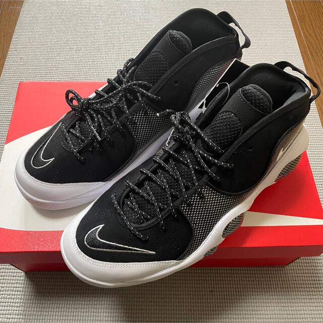 アイボリー×レッド Nike Air Zoom Flight 95 ズームフライト95 28.5cm