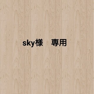 sky様　専用です。(その他)