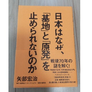 日本はなぜ、「基地」と「原発」を止められないのか(その他)