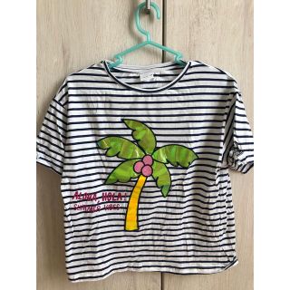 ザラキッズ(ZARA KIDS)のZARA KIDS*ガールズsize160 ボーダーTシャツ(Tシャツ/カットソー)